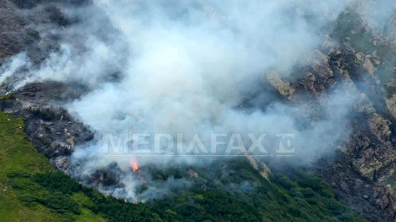Intervenţiile la incendii de vegetaţie uscată continuă în Argeş, Prahova, Braşov şi Covasna
