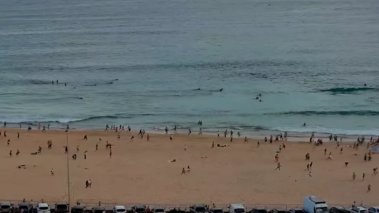 Un expert ONU critică declarațiile lui Netanyahu privind atacul armat de la Bondi Beach