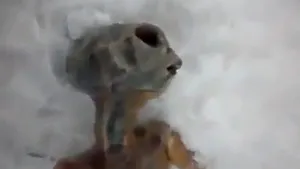 Extraterestrul descoperit în Siberia era un fals. Vezi din ce a fost făcut - FOTO