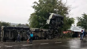 Iaşi: Cabina unui TIR încărcat cu seminţe de floarea soarelui a ajuns într-un copac, după ce TIR-ul a derapat într-o curbă