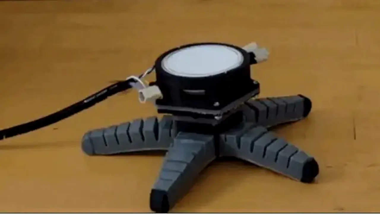 Oamenii de ştiinţă au creat un robot controlat de o ciupercă şi l-au făcut să se mişte