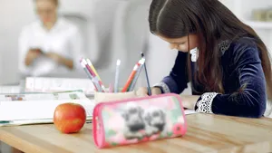 Ligia Deca: 19 şcoli funcţionează cu program în trei schimburi. De anul viitor, va fi ilegal