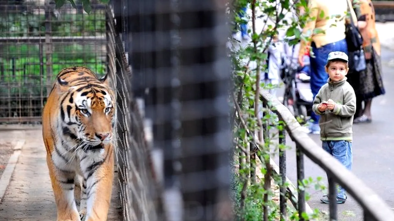 Ziua Internaţională a Grădinilor Zoologice şi Parcurilor, sărbătorită la Bucureşti