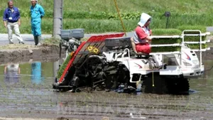 Agricultori japonezi au plantat orez la 15 kilometri de centrala nucleară de la Fukushima