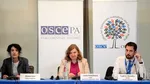 AEP: Observatorii internaționali spun că alegerile s-au desfășurat într-un climat de corectitudine