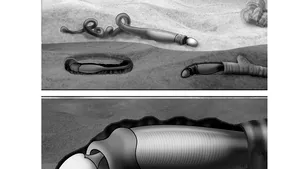 Creatură fosilă cu aspect ciudat, descoperită de biologi - FOTO