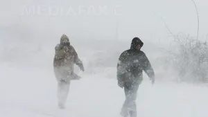 AVERTIZARE METEO: Cod galben  de vânt în 19 judeţe din nord-estul, sud-estul şi centrul ţării 