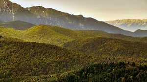 Rămăşiţele unei persoane, găsite pe munte. Ar putea fi vorba de un pompier din Mureş