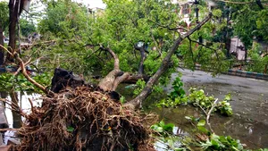 GALERIE FOTO: Oraş de 14 milioane de oameni, devastat de ciclonul Amphan. Cel puţin 15 morţi lăsaţi în urmă de furtuna care a bătut cu peste 200km/h