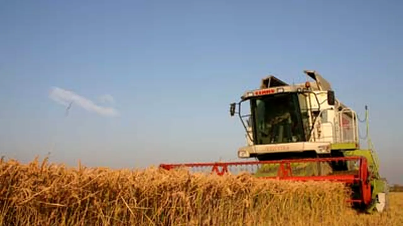 Reuters: Recolta din 2008 ar putea încetini avansul preţurilor în România