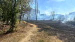 350 de milioane de euro. Nicuşor Dan, despre scandalul din parcul IOR: Dacă proprietarul o să defrişeze spaţiul vegetal pe 10 hectare, o să îi dăm o amendă de 350 de milioane de euro