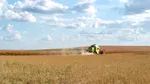 Aurul galben al agriculturii românești. România devine esențială pentru piața europeană a rapiței