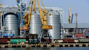 După petrol, urmează alimentele. ONU: Prețurile cerealelor ar putea crește cu până la 81%