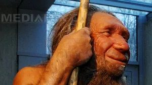 STUDIU: Omul de Neanderthal în Europa - Un declin progresiv, încheiat în urmă cu 40.000 de ani 