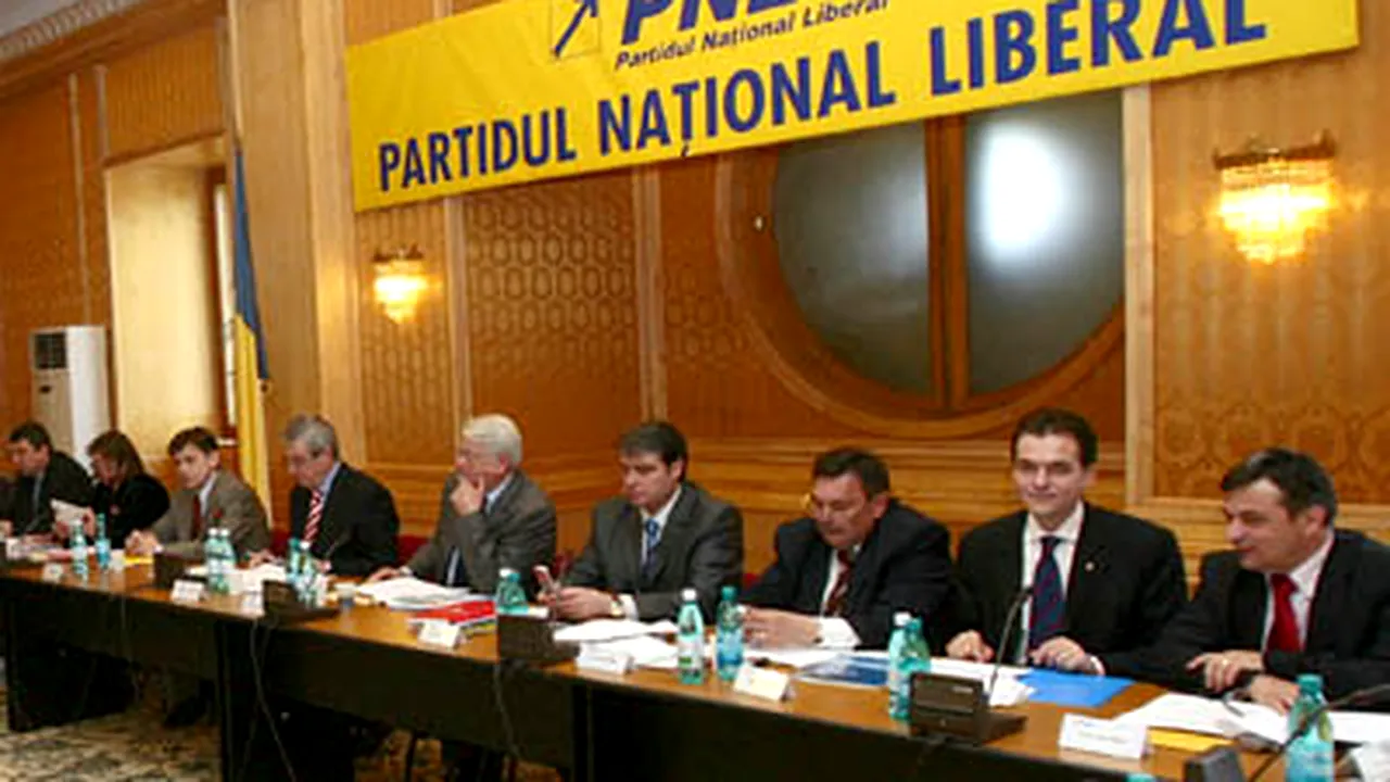 PNL va avea prim-vicepreşedinte - surse