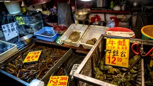 S-a interzis consumul de animale sălbatice în zona ZERO a pandemiei. Ce se va întâmpla cu „pieţele umede