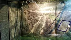 Directorul Acvariului din Constanţa, explicaţii după incidentul în care a fost implicată o adolescentă/ Când a fost renovat ultima dată Complexul Muzeal