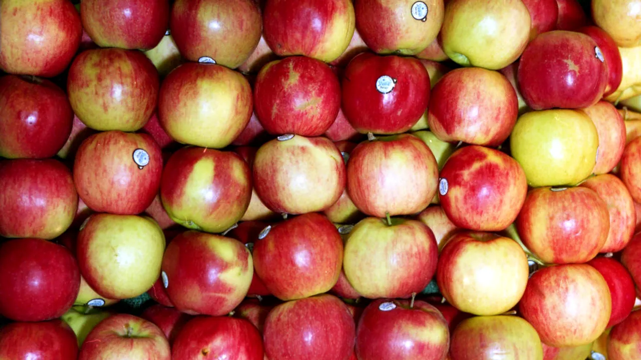 „Cocktail” de pesticide: 80% dintre merele din Spania conțin multiple reziduuri toxice