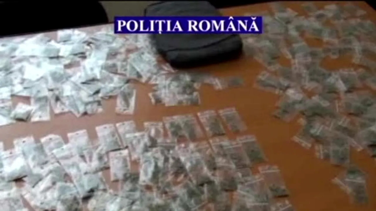 Sute de plicuri cu etnobotanice, descoperite în locuinţa unui constănţean suspectat de tâlhărie - VIDEO