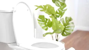 De câte ori mergi la toaletă? Răspunsul ar putea prezice starea ta de sănătate