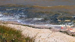 Panouri cu date despre calitatea apei, amplasate pe plajele de pe litoral