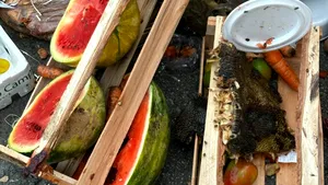 Lista țărilor care irosesc cea mai mare cantitate de alimente. România este una dintre cele mai risipitoare țări din Europa