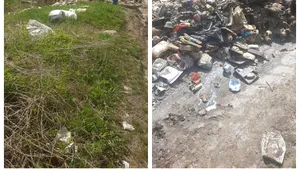 Două tone de resturi de animale în PUTREFACŢIE, găsite în judeţul Mureş. Cine a făcut descoperirea