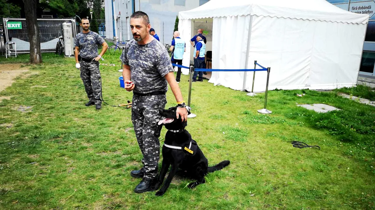 Câine poliţist la Untold pentru depistarea participanţilor care încearcă să intre cu droguri 
