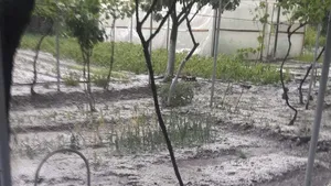 Ploile şi grindina au făcut RAVAGII în gospodării din Tulcea | FOTO, VIDEO