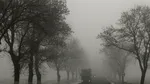 Avertizare ANM: Cod galben de ceaţă în sudul României