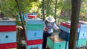 Corteva Agriscience sprijină câștigătoarea TalentA să creeze un „Bee Paradise” pentru o agricultură durabilă