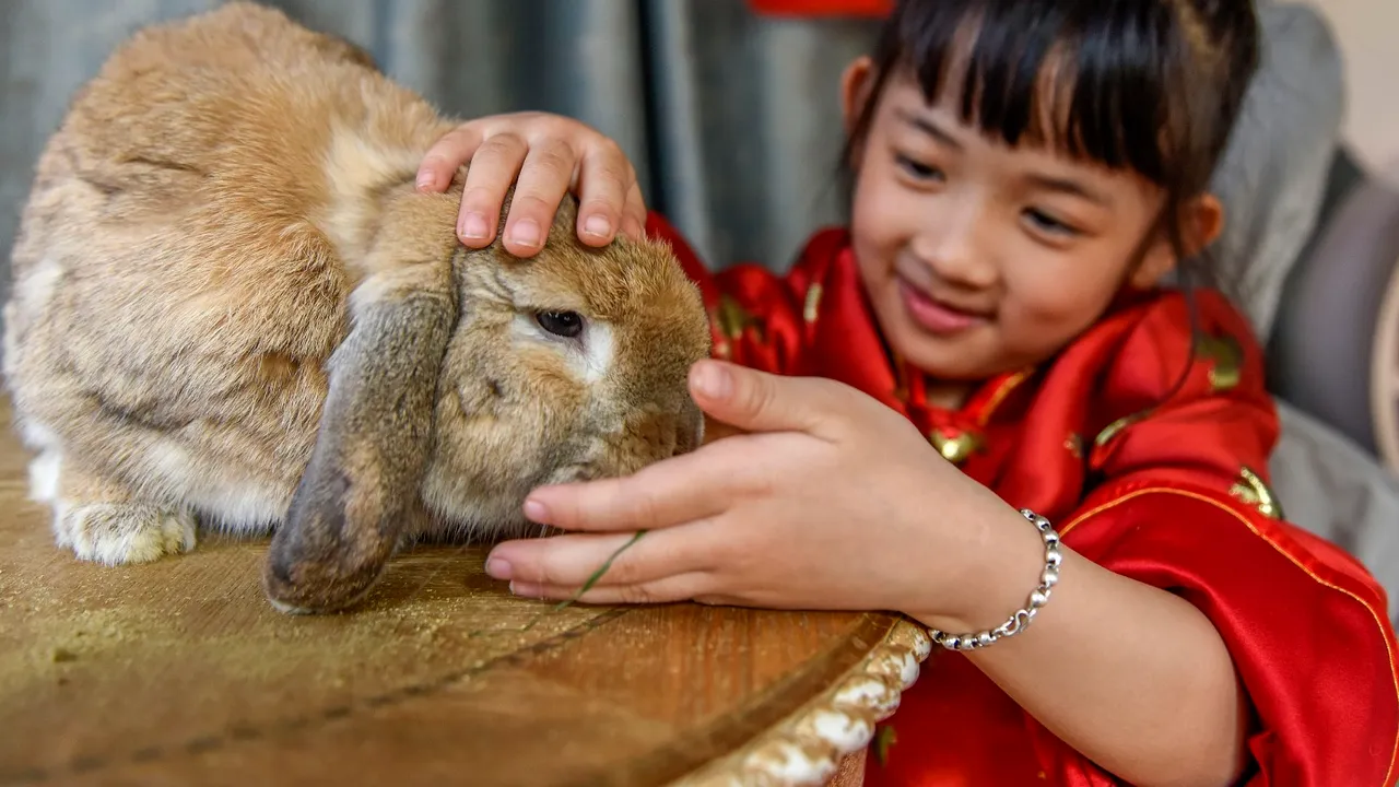 HOROSCOPUL CHINEZESC.  2023 - Anul Iepurelui de Apă preconizează speranţă, pace şi prosperitate. China Highlights recomandă persoanelor din zodia Iepurelui să fie precaute 