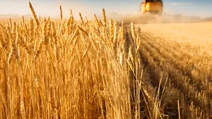 ANUNT PRIVIND FINALIZAREA DERULARII PROIECTULUI GRANT PENTRU CAPITAL DE LUCRU ACORDAT BENEFICIARULUI ARGES AGRO PROIECT SRL