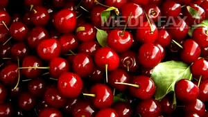 Târg de cireşe, duminică, la Bojdeuca lui Ion Creangă din Iaşi