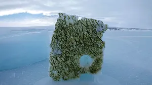 Dispariția gheții marine schimbă culoarea oceanelor din regiunile arctice și antarctice