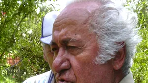 MP: Dosarul generalului Pleşiţă, 