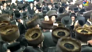 COMENTARIU Lelia Munteanu: Tora ca antiviral