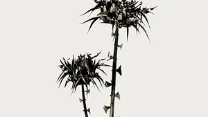 Mai straniu decât ficţiunea: Imagini cu maimuţe cu aripi, şerpi cu picioare şi un schelet de sirenă, expuse la Londra - FOTO