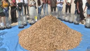 650.000 de mucuri de ţigară au fost expuse în centrul Lisabonei