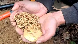 Un localnic a descoperit o comoară veche de peste 3.000 de ani în Cluj. Conține un artefact unic în România