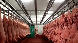 Trei tone de carne au fost confiscate după un control în depozitul Antrefrig din Capitală 