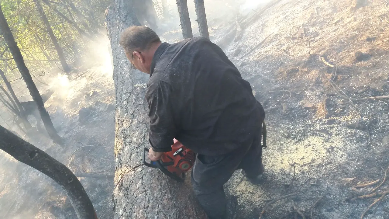 Cum arată pădurea de pin din Parcul Domogled, mistuită de foc. Pompierii s-au retras neputincioşi duminică seara