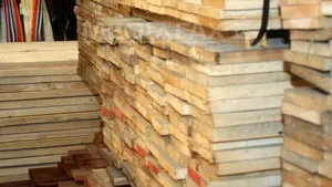 Dosar amplu de evaziune fiscală de 2 milioane de lei în domeniul forestier. 13 inculpați, plasați sub control judiciar