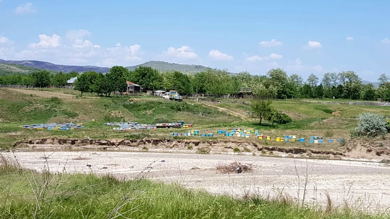 ATAC fatal al albinelor. Doi morţi si o persoană în şoc anafilactic, în judeţul Buzău. Primarul povesteşte cum s-a întâmplat tragedia - FOTO 