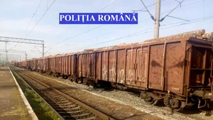 Tren care transporta lemn fără acte, oprit de poliţişti în judeţul Alba