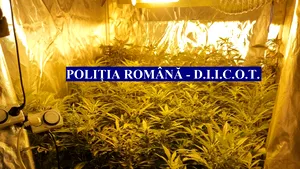 Francez cu domiciliul în Bucureşti, reţinut pentru trafic de droguri 