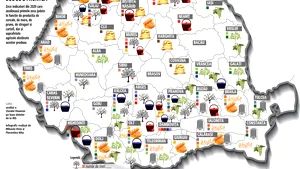 Cum arată harta agricolă a României? Iată la ce culturi stă cel mai bine fiecare regiune