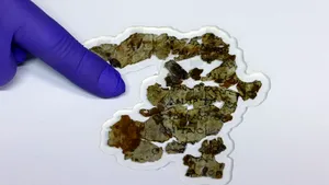 Arheologii israelieni anunţă că au descoperit zeci de fragmentele de pergament ce conţin texte biblice ascunse în urmă cu aproape 1900 ani