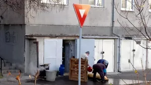 Amenda primită de un orădean după ce şi-a tranşat porcul în spatele blocului