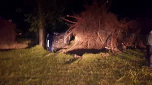 VIDEO Dezastru în România | Bilanţul IGSU după ploile din ultimele ore: 30 de persoane rănite, peste 70 de maşini avariate, sute de copaci puşi la pământ şi mai multe case inundate